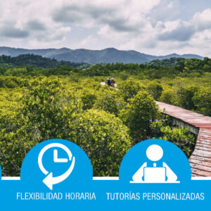 Cambio climático y huella de carbono