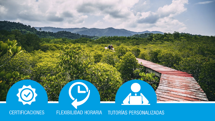 Cambio climático y huella de carbono