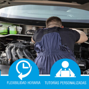 Manipulador de gases fluorados en centros autorizados de vehículos fuera de su uso. PF9.