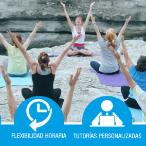 Monitor sociocultural