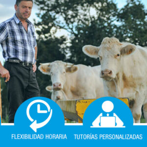 Certificado de Profesionalidad: Actividades Auxiliares en Ganadería (AGAX0108)