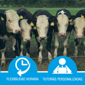 Certificado de Profesionalidad: Gestión de la Producción Ganadera (AGAN0311)