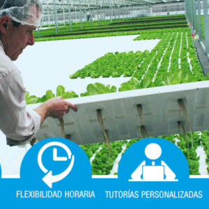 Certificado de Profesionalidad: Horticultura y Floricultura (AGAH0108)