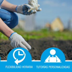 Prevención Riesgos Laborales en Sector Agrícola