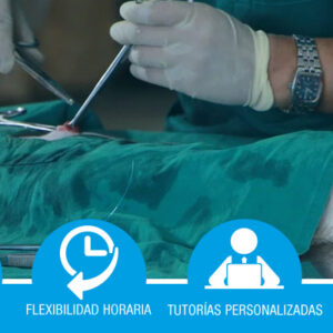 Especialización en hospitalización veterinaria para titulados universitarios en veterinaria