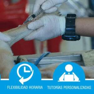 Oncología Veterinaria