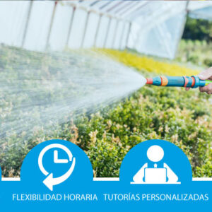 Operaciones auxiliares de riego, abonado y aplicación de tratamientos en cultivos agrícolas