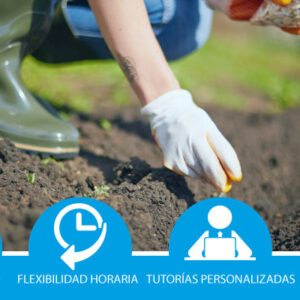 Operaciones auxiliares de preparación del terreno, plantación y siembra de cultivos agrícolas (bonificada)