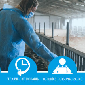 Bienestar animal para ganaderos