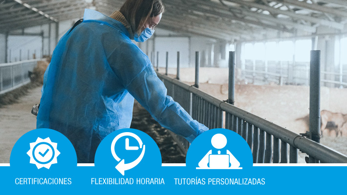 Bienestar animal para ganaderos