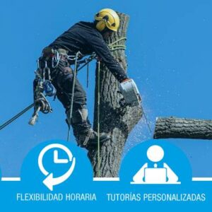 Ejecución de trabajos en altura en los árboles