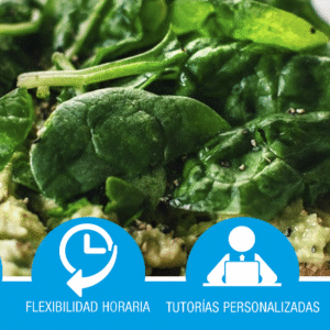 Técnico profesional en nutrición vegana