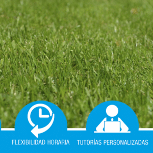 MF1128_3. Organización y supervisión del mantenimiento y recuperación de césped en campos deportivos