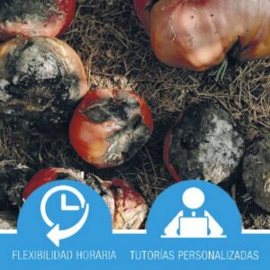 Prevención y Reducción del Desperdicio Alimentario en la Cadena de Suministro