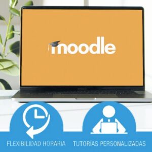 Manejo moodle para profesores
