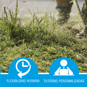 MF0522_1. Operaciones básicas para el mantenimiento de jardines, parques y zonas verdes