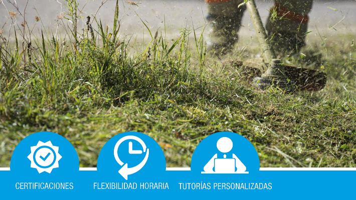 MF0522_1. Operaciones básicas para el mantenimiento de jardines, parques y zonas verdes