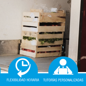 MF1465_2. Operaciones de recogida y entrega de mercancías