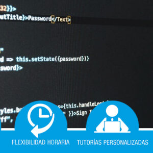 Desarrollo Web y SEO